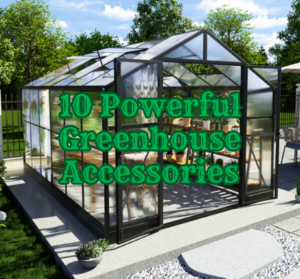 Read more about the article 10 Powerful Greenhouse Accessories for 2025: Boost Your Gardening Success!